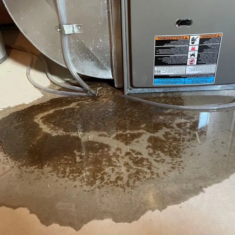 Pipe Burst and Leak Restoration in Palmyra, NJ